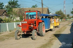 trocarici in delta 